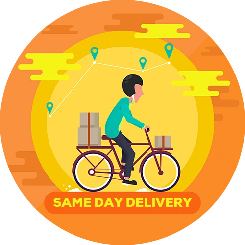 Same day delivery